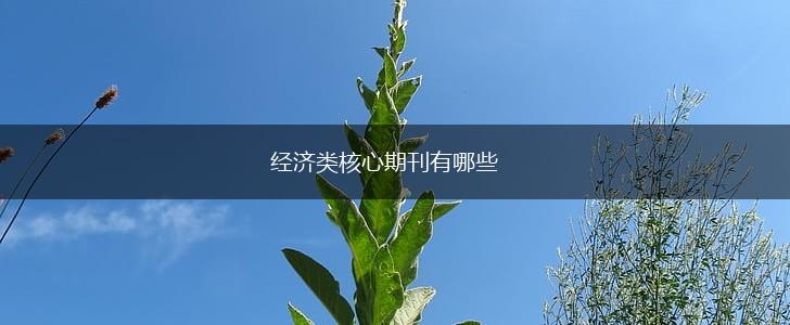 经济类核心期刊有哪些,第1张