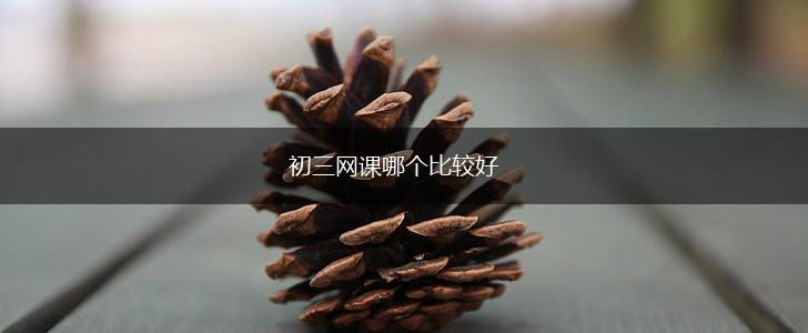 初三网课哪个比较好,第1张