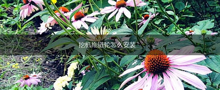 挖机拖链轮怎么安装,第1张