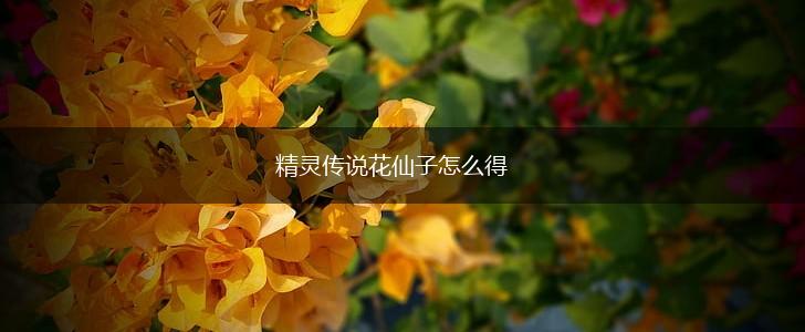 精灵传说花仙子怎么得,第1张