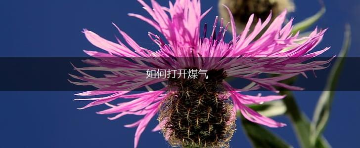 如何打开煤气,第1张