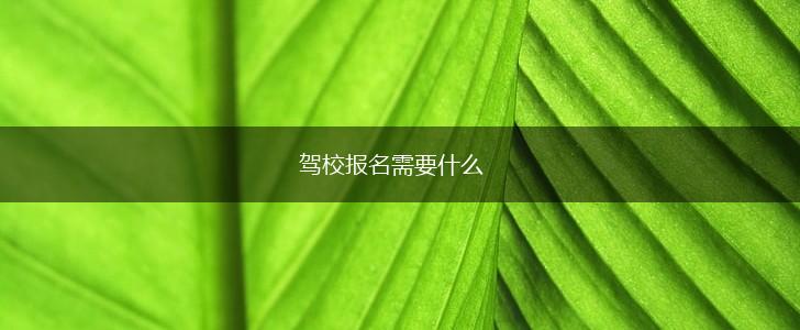 驾校报名需要什么,第1张