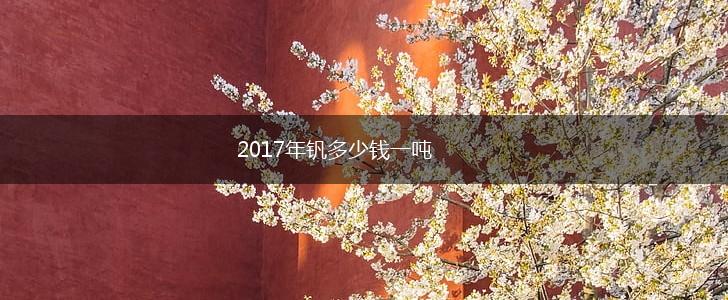 2017年钒多少钱一吨,第1张