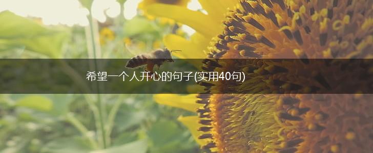 希望一个人开心的句子(实用40句),第1张