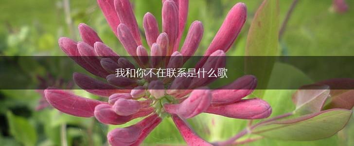 我和你不在联系是什么歌,第1张