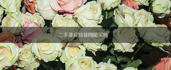 二手菲亚特菲翔能买吗,第1张