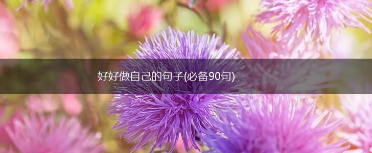 好好做自己的句子(必备90句),第1张