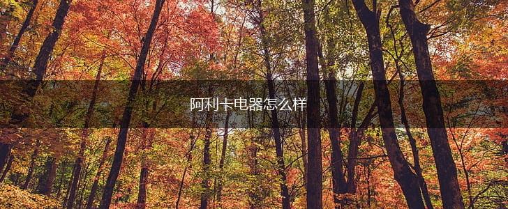 阿利卡电器怎么样,第1张