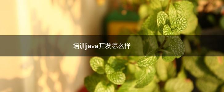 培训java开发怎么样,第1张