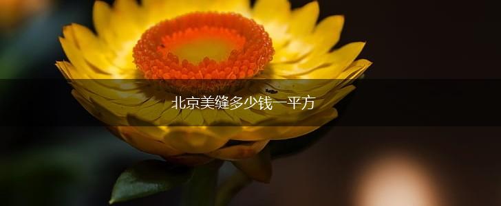 北京美缝多少钱一平方,第1张