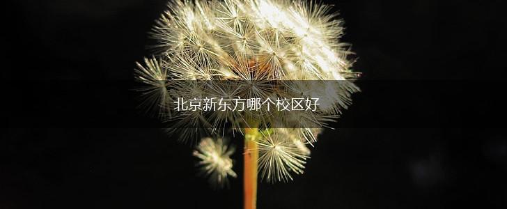 北京新东方哪个校区好,第1张