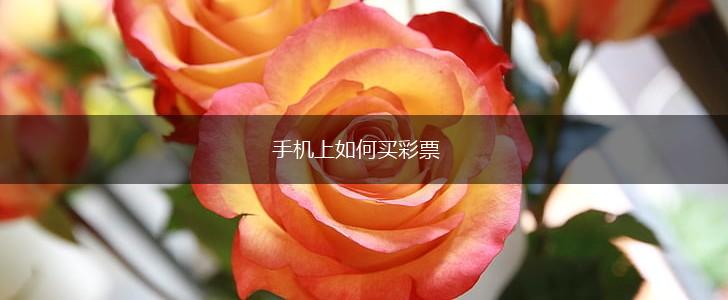 手机上如何买彩票,第1张