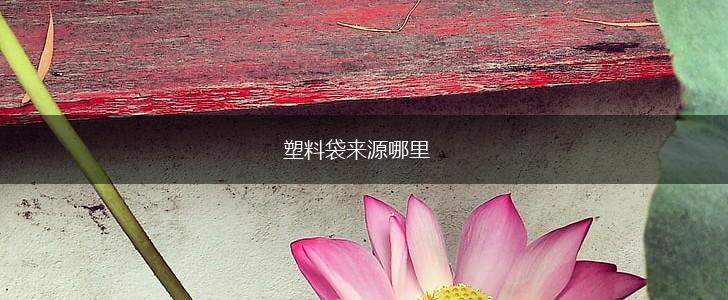 塑料袋来源哪里,第1张