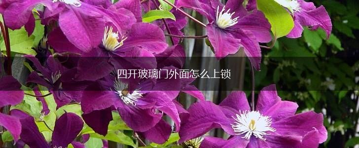 四开玻璃门外面怎么上锁,第1张