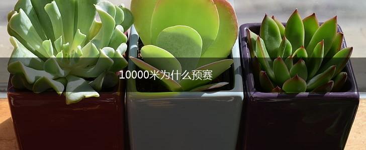 10000米为什么预赛,第1张