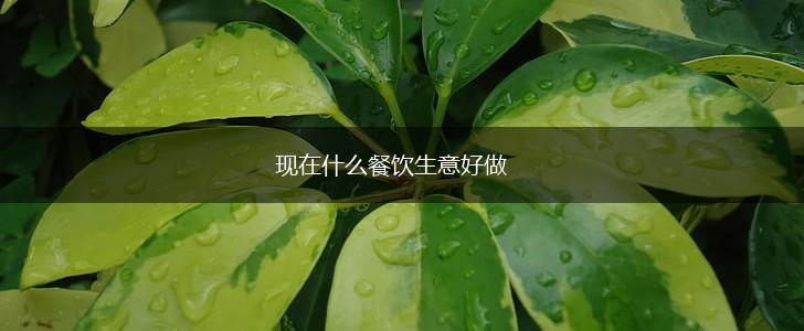 现在什么餐饮生意好做,第1张