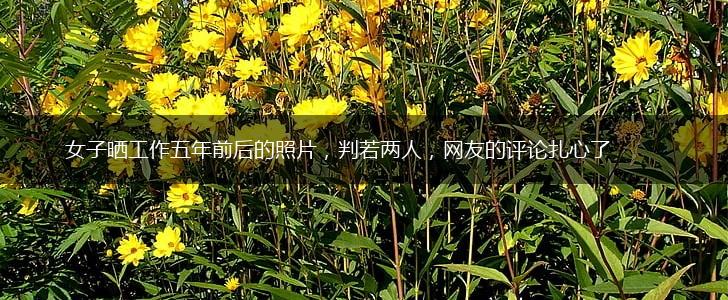 女子晒工作五年前后的照片，判若两人，网友的评论扎心了,第1张