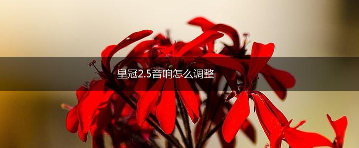 皇冠2.5音响怎么调整,第1张