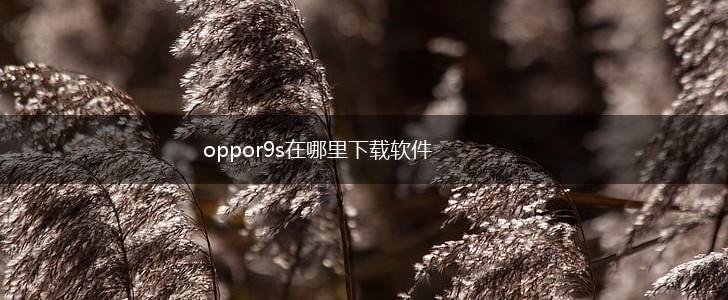 oppor9s在哪里下载软件,第1张