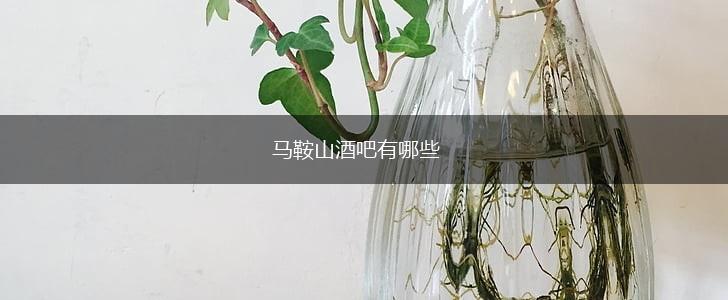 马鞍山酒吧有哪些,第1张