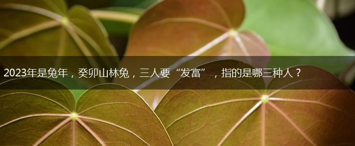 2023年是兔年，癸卯山林兔，三人要“发富”，指的是哪三种人？,第1张