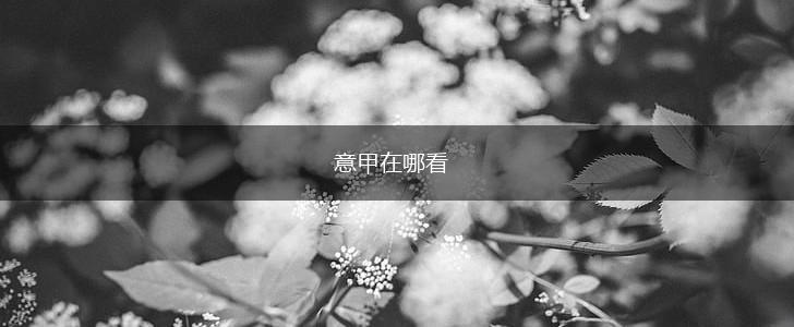 意甲在哪看,第1张