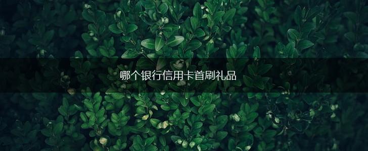哪个银行信用卡首刷礼品,第1张