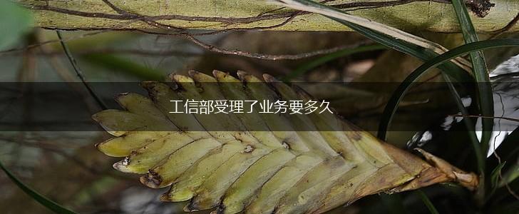 工信部受理了业务要多久,第1张