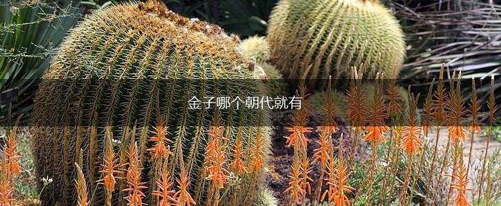 金子哪个朝代就有,第1张
