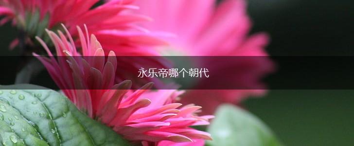 永乐帝哪个朝代,第1张