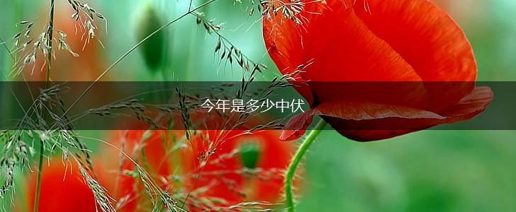 今年是多少中伏,第1张