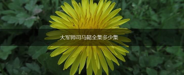 大军师司马懿全集多少集,第1张
