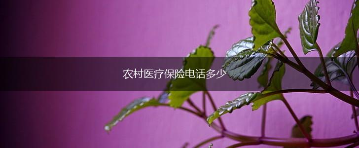 农村医疗保险电话多少,第1张