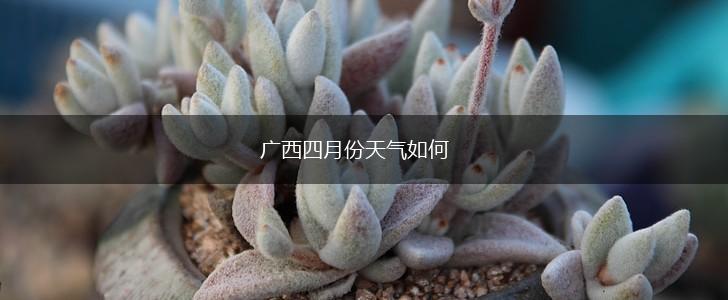 广西四月份天气如何,第1张