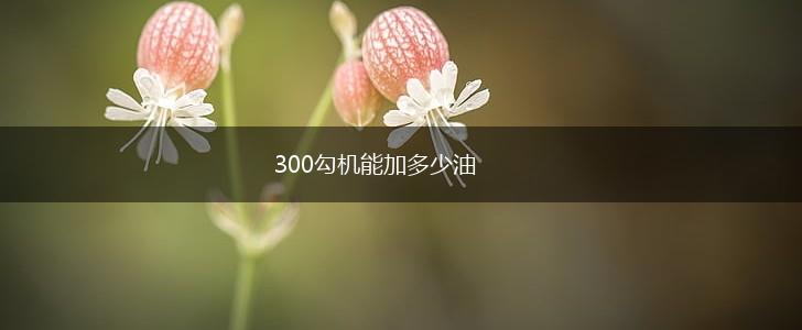 300勾机能加多少油,第1张