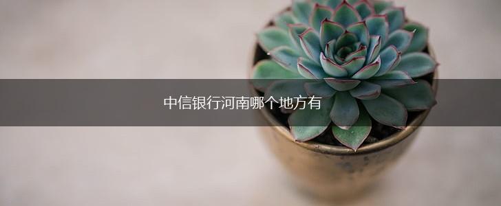 中信银行河南哪个地方有,第1张
