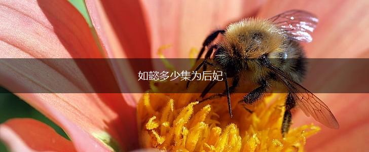 如懿多少集为后妃,第1张