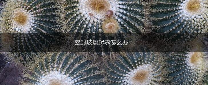 密封玻璃起雾怎么办,第1张