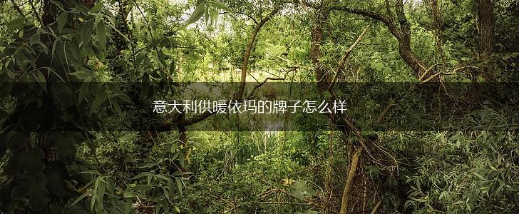 意大利供暖依玛的牌子怎么样,第1张