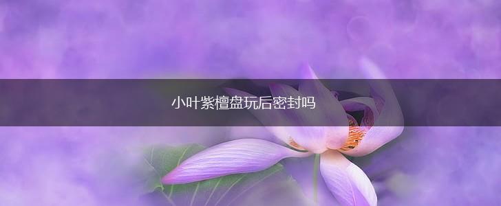 小叶紫檀盘玩后密封吗,第1张