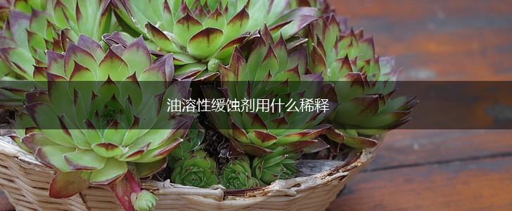 油溶性缓蚀剂用什么稀释,第1张