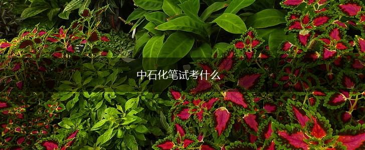 中石化笔试考什么,第1张
