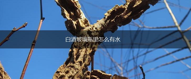 白酒玻璃瓶里怎么有水,第1张