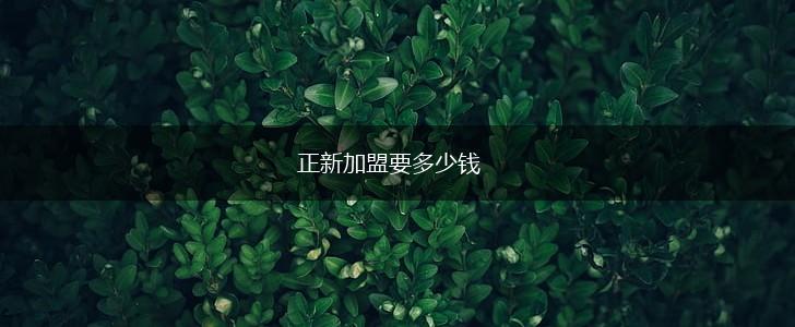 正新加盟要多少钱,第1张