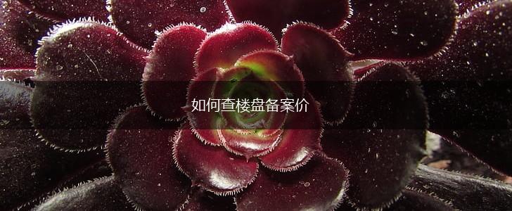 如何查楼盘备案价,第1张