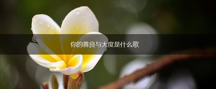 你的善良与大度是什么歌,第1张