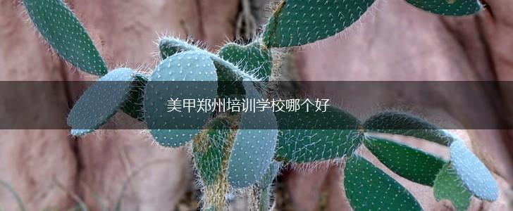 美甲郑州培训学校哪个好,第1张