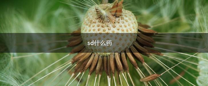 sd什么药,第1张