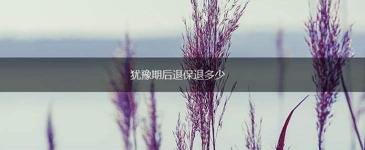 犹豫期后退保退多少,第1张