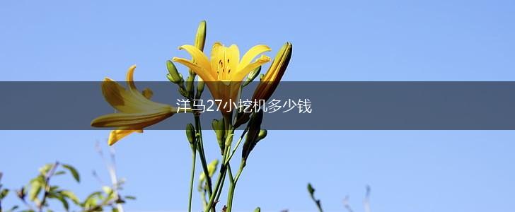 洋马27小挖机多少钱,第1张